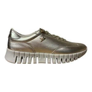 CETTI C1381 champagne