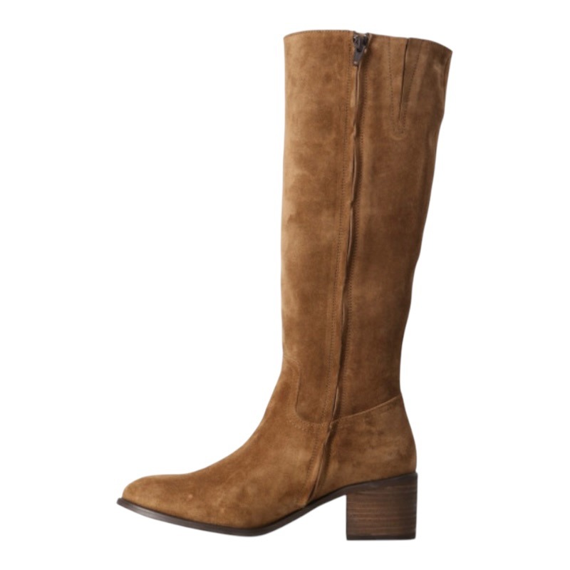 ALIWELL sygma vel camel